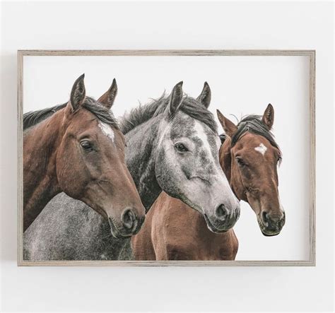 Horse Print Horse Wall Art Three Horses Print Modern Etsy In 2021