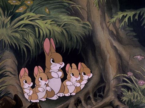 Which Dp Forest Animals Are Your Favorite Disney Princess Fanpop