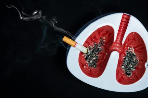 Tidak Merokok Namun Sering Terpapar Asap Rokok Ini 5 Bahayanya