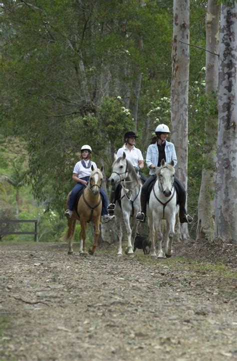 Homeholiday types adventure 9 best horse riding holidays around the world. Horse Trail Riding | Southern Cross Horse Treks Australia ...