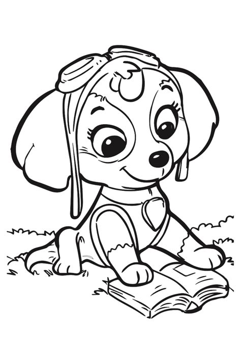 Paw Patrol Skye Coloring Pages Free 30 Page Coloring E Book