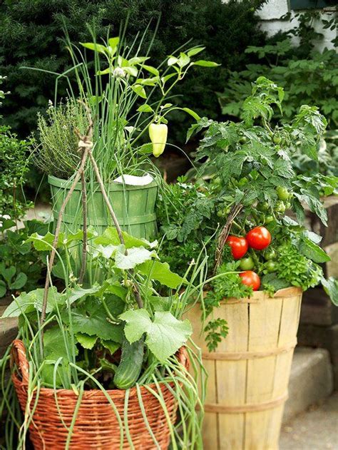 19 Vegetable Container Garden Ideas For A Prettier Way To Grow Produce