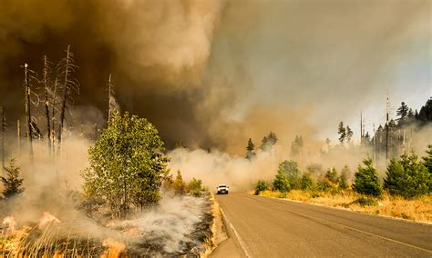 Heres How Wildfire Smoke Affects The Body — And How You Can Protect