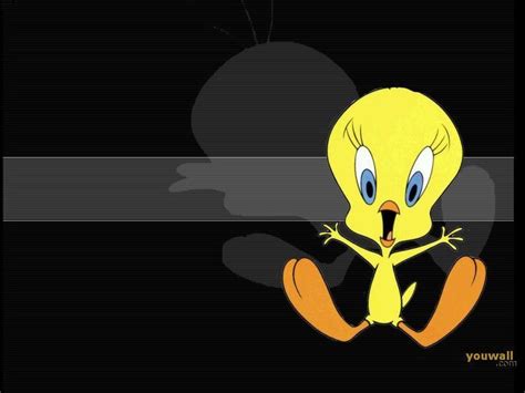 Tweety Backgrounds Wallpaper Cave