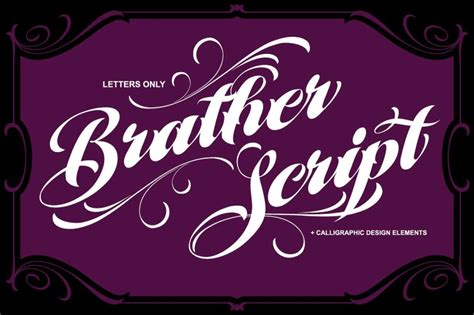 Brather Script By Misterchek Thehungryjpeg