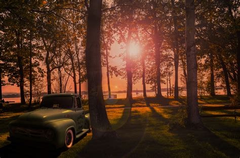 Free Images Sunset Nature Tree Car Woody Plant Morning Forest