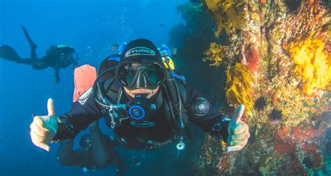 Scuba Diving And Snorkelling Nz Everything New Zealand
