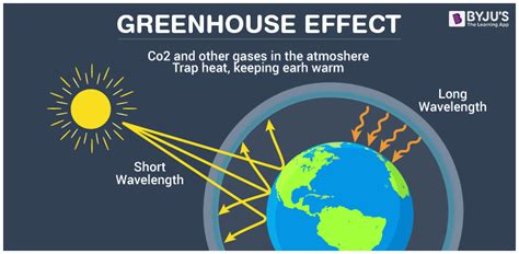 Greenhouse Effect Procedure For Greenhouse Effect