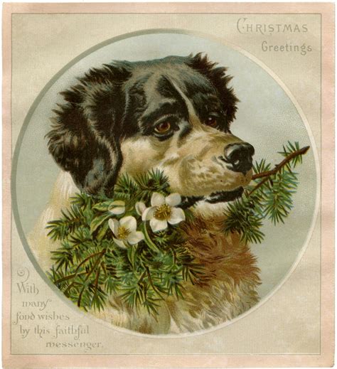 12 Vintage Christmas Dog Images The Graphics Fairy