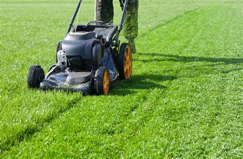 Mowing Tips For Your Lawn — Oasis Lawn Service