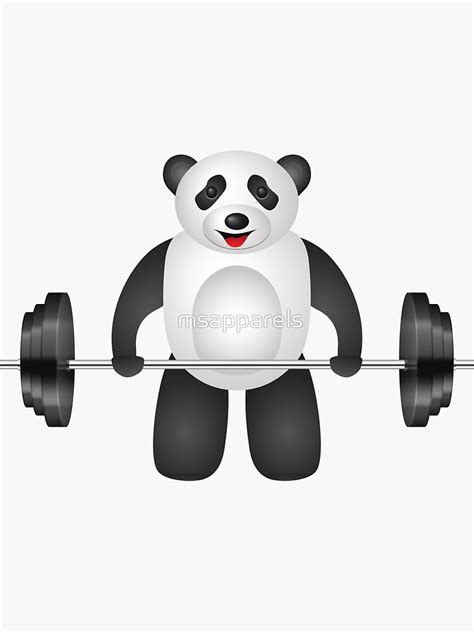 Cute Panda Training Cute Panda Training Panda Weightlifting Cute Panda Gym Fitness
