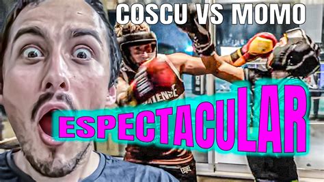 Experto En Boxeo Reacciona Al Sparring De Coscu Vs Momo Youtube