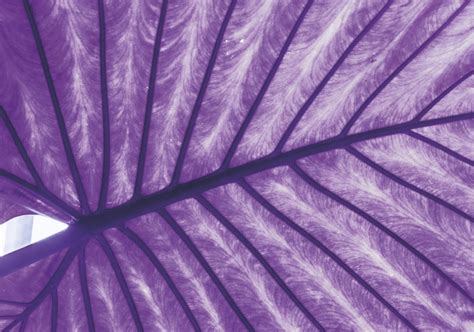 Geopolitical resilience | Maire