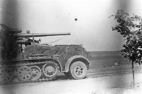 Sdkfz 8 German Flak 18 Sf Zugkraftwagen Halftrack With 88 Mm Gun On