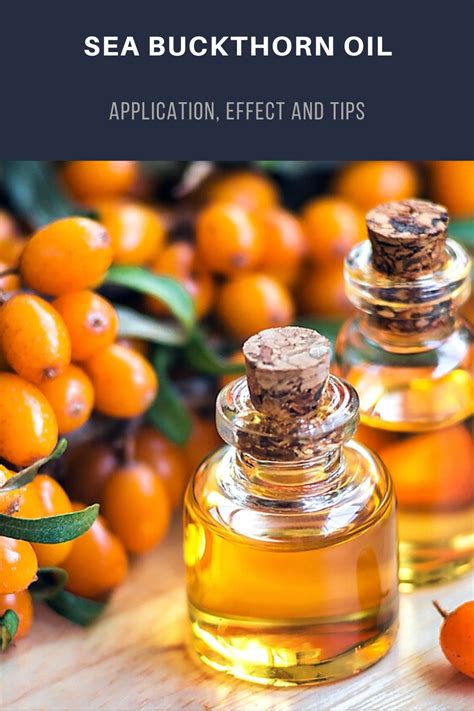 Sea Buckthorn Oil Contains Many Healthy Active Ingredients And Is A