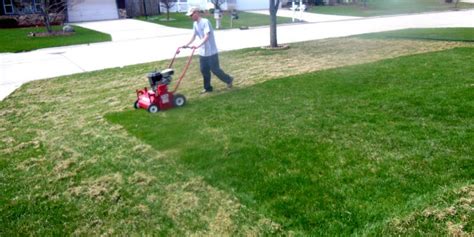 Lawns should be dethatched only when conditions favor rapid turf recovery. Benefits of Dethatching and Aerating Your Lawn | Milorganite