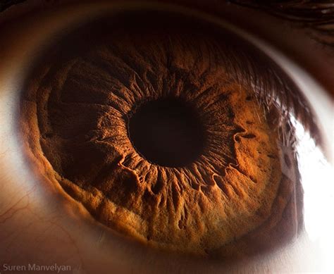 21 Extreme Close Ups Of The Human Eye Twistedsifter