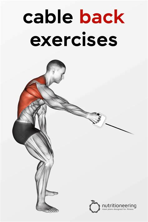 19 Unique Cable Back Exercises For A Complete Workout Artofit