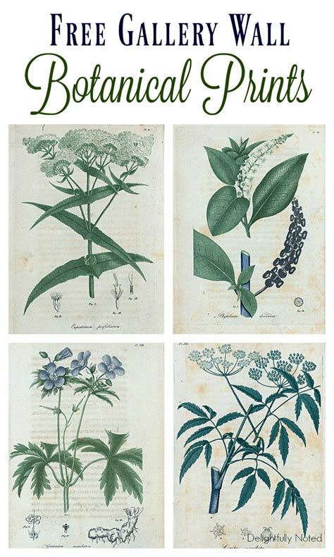 Printable High Resolution Printable Botanical Prints