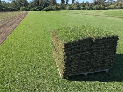 How much does zoysia grass sod cost. How Much Does A Pallet Of Sod Weigh