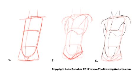 Hi everyone, here's a simple drawing tutorial of how to draw anime body, follow the step by step vid. Cartoon Body FormulasThe Drawing Website | The Drawing Website