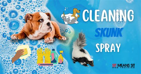 Tips for Cleaning Skunk Spray Off Your Dog | Sit Means Sit South Orange