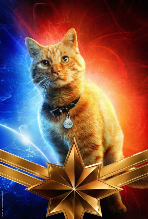 Goose The Cat Poster Textless Captain Marvel By Williansantos26 On