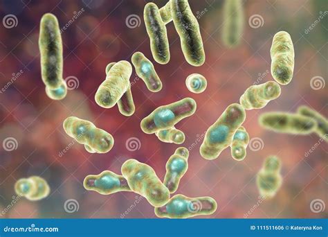 Clostridium Perfringens Bacteria Stock Illustration Illustration Of