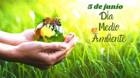 5 de junio Día Mundial del Medio Ambiente Ecocolmena