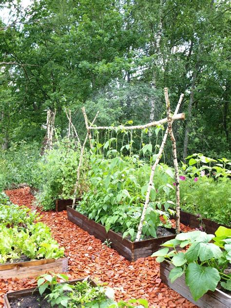 1000 Small Vegetable Gardens Vegetable Garden For Beginners