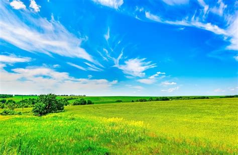 Premium Photo Field Of Bright Fresh Green Grass And Blue Sky