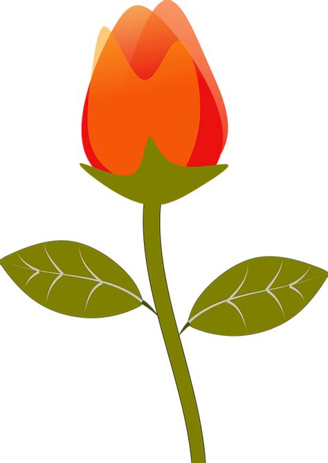 Rose Bud Flower Clip Free Vector Graphic On Pixabay