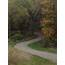 Free Photo Winding Trail  Park Path Download Jooinn