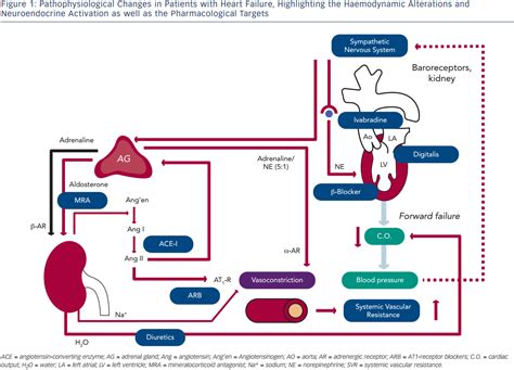 Pharmacological Treatment Of Patients With Chronic Systolic Heart