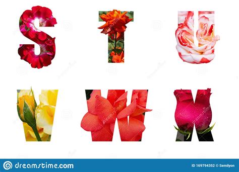 Letters Of The Alphabet From Flowers Of Roses Stock Photo Image Of