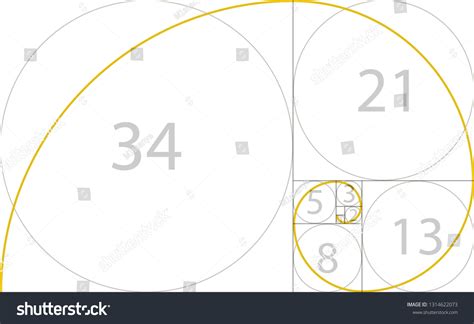 Golden Ratio Geometric Concept Fibonacci Spiral Stock Vector Royalty