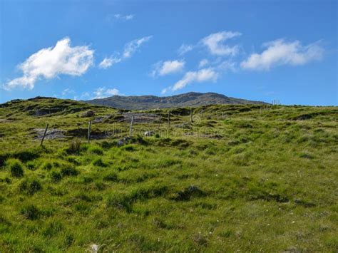 Beautiful Summer Landscape With Mountain Pastures Beautiful Green