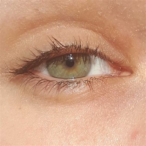 Bare Eye Green Sunlight Halfclosed Aesthetic Olhos Verdes Avelã