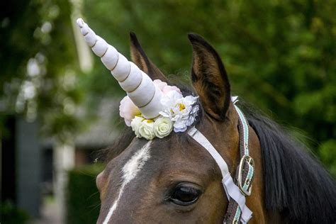 White Unicorn Horn For Horse And Pony With Flowers Free Etsy