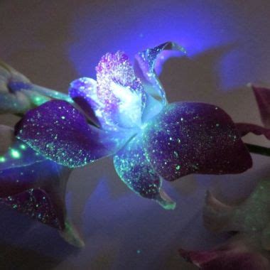 Animation motion green glowing spotlight beams on dark background in stage. Pin on DIY