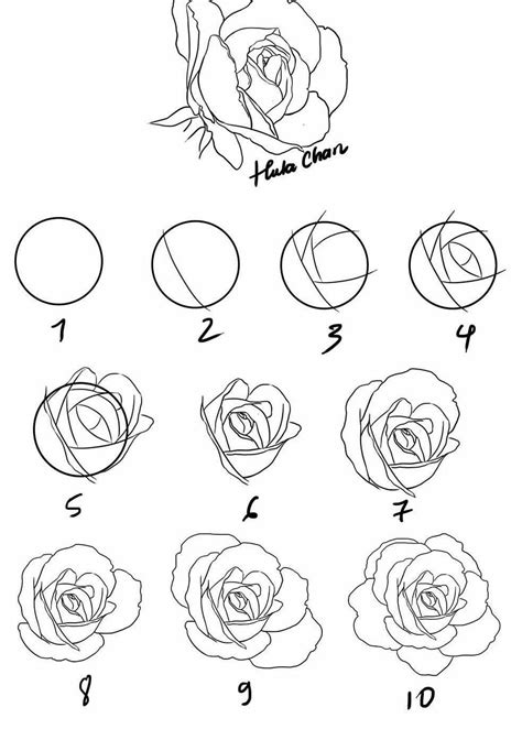 How To Draw A Rose Dibujos De Rosas Como Dibujar Rosas Bocetos De