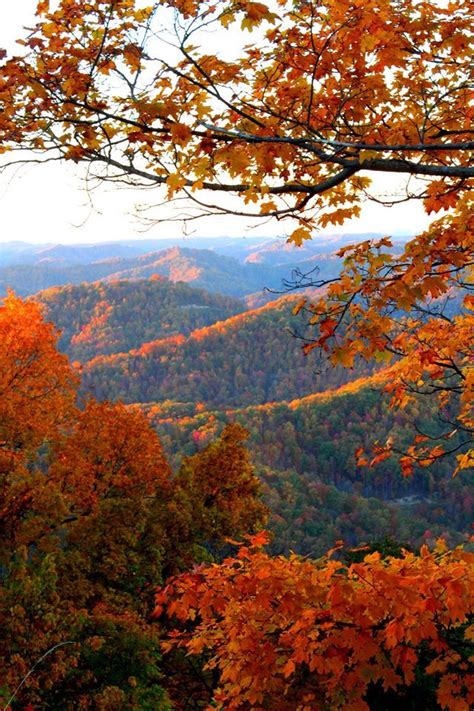 Pine Mountain Whitesburg Kyso Beautiful Autumn Landscape Autumn