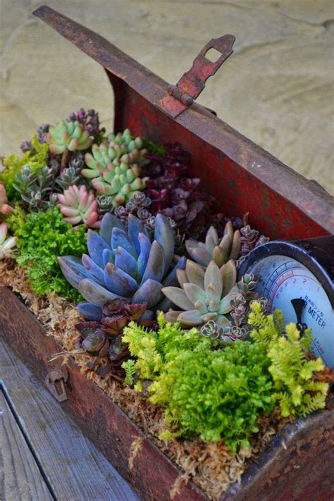 Easy Container Gardening Succulents In Containers Succulents Garden
