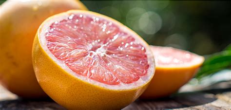 They are listed by size of market share, in descending order. Where Have All the Florida Grapefruit Gone? | Growing Produce Press Release - Florida Trend
