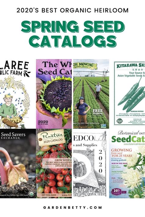 Find The Best 8 Organic Seed Catalogs For 2020 In 2020 Seed Catalogs