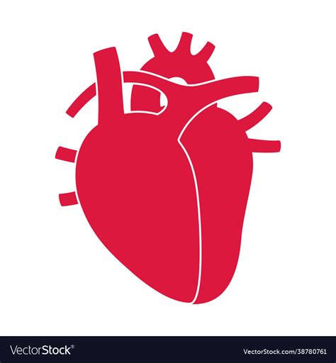 Human Heart Logo Royalty Free Vector Image Vectorstock
