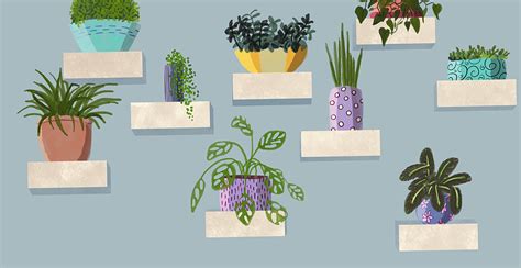 Zoom Virtual Background Wall Of Plants Etsy Canada