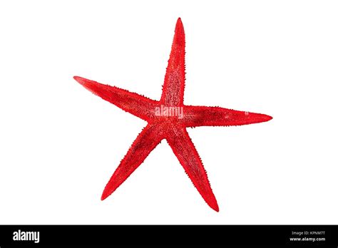 Red Starfish On A White Background Stock Photo Alamy