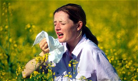 Asthma And Allergy Hayfever Symptoms And Remedies