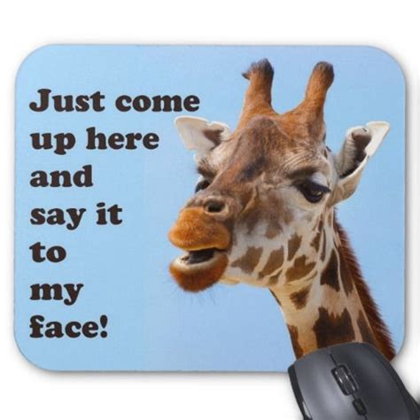 86 Best Giraffes Are Funny Too Images On Pinterest